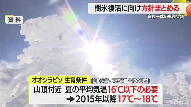 樹氷復活県民会議～樹氷再生の現状は... 画像