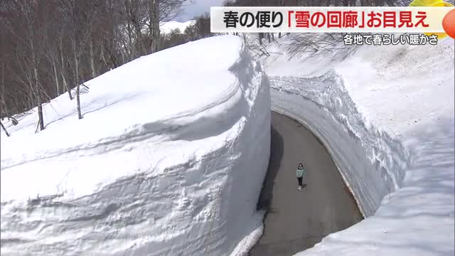 県道・月山志津線・春の除雪はじまる　山形・西川町 画像