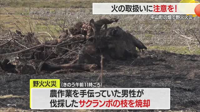 伐採したサクランボの木焼却し野火火災に　山形・中山町 画像