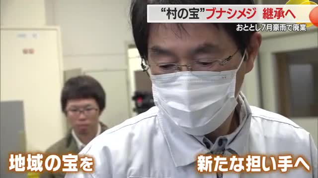 「地域の宝」ブナシメジ栽培技術を若い世代に継承　元キノコ生産者の思い　山形・鮭川村 画像