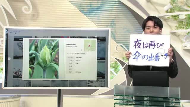 【エンドトーク】きょうの1枚＆あすの天気のポイント　山形 画像