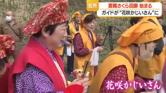 花咲かじいさん登場　「置賜さくら回廊」始まる・2市1町の名所や古木めぐる　山形 画像