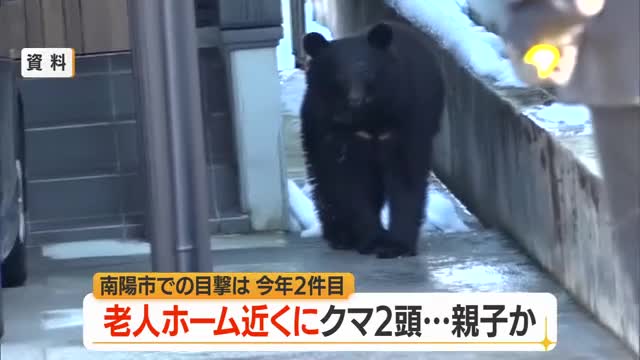 【クマ出没】親子とみられるクマ2頭目撃...特別養護老人ホーム近くで　山形・南陽市 画像