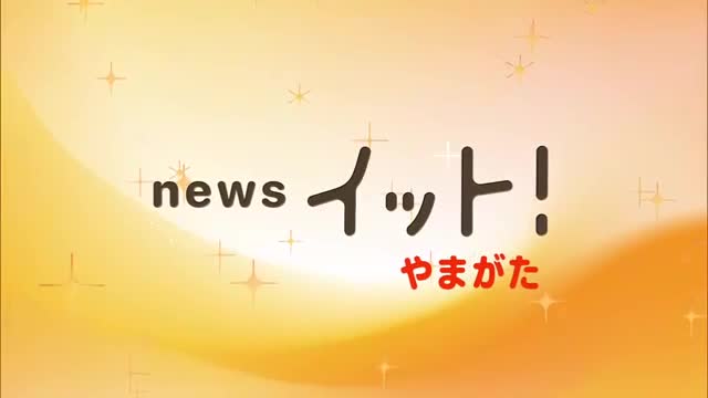 定期船とびしま故障・運休...24日以降の代行船準備進める・29日の野鳥観察イベントは中止　山形・酒田市 画像