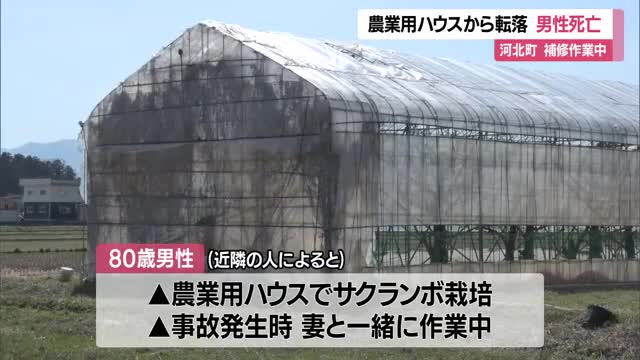 サクランボ育てる農業用ハウスから転落...80歳男性死亡・多発性外傷　妻と2人で補修作業中　山形・河北町 画像