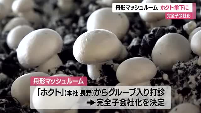 舟形マッシュルームが「ホクト」（本社・長野）の完全子会社に・4月30日　キノコ最大手傘下入り　山形　 画像