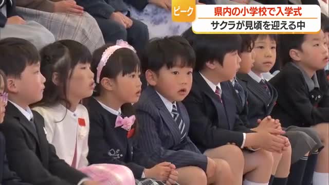 満開のサクラのもと県内116の小学校で入学式　6282人の新入生が新たな一歩　山形 画像