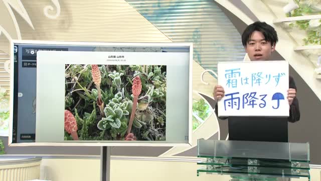 【エンドトーク】「霜は降りず雨降る」　きょうの1枚＆あすの天気のポイント　山形 画像