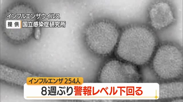 【インフルエンザ／山形】患者数254人（前週比-137人）　8週ぶりに警報レベル下回る 画像