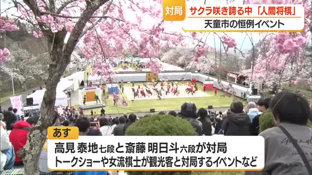 サクラ咲き誇る中「人間将棋」　内山あや女流二段と砂原奏女流2級が対局　山形・天童市 画像