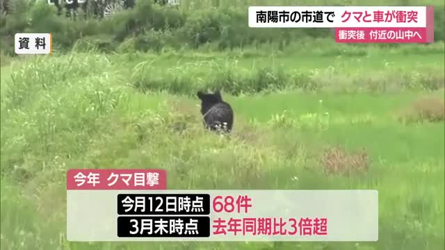 【クマ出没】走行中の車とクマ衝突・山へ逃げる　目撃件数2025年の3倍超（3月末時点）　山形・南陽市 画像