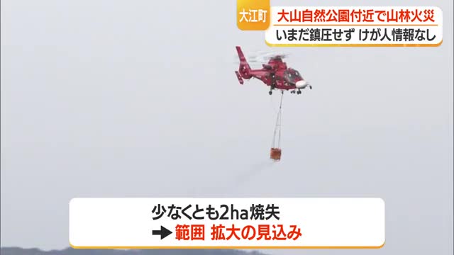 山林火災...少なくとも2ヘクタールが焼失　山形・大江町 画像