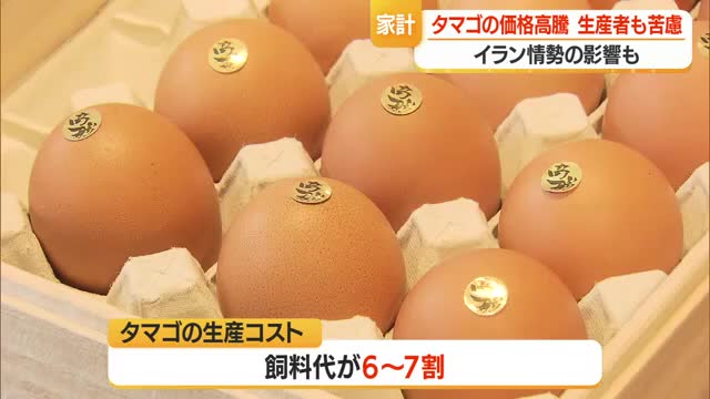 タマゴの価格が高騰・エッグショックを超え過去最高値...今後の見通しは？生産者に聞く　山形 画像