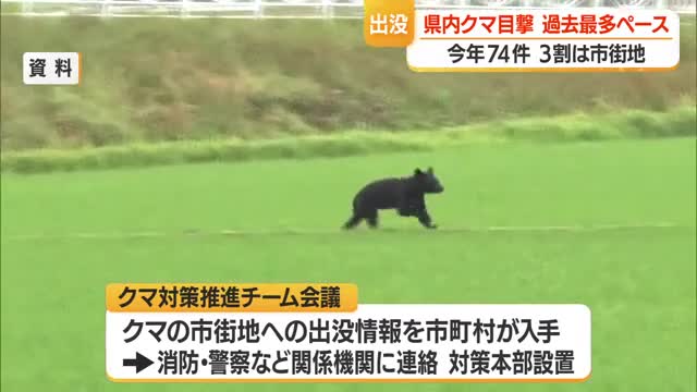 “過去最多”上回るペースでクマ目撃74件（前年比+20件）　出没時の市町村の対応あらためて確認　山形 画像
