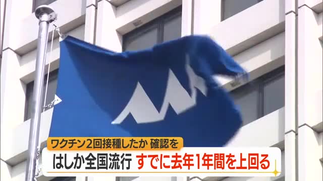 全国で「はしか」患者数急増...ワクチン2回接種の確認・1回以下の人は追加接種の検討を　山形 画像