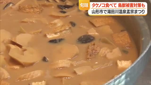 春の味覚・湯田川孟宗　酒粕とみそで孟宗汁にして楽しむ　協力金はイノシシ・サル対策費用に　山形 画像