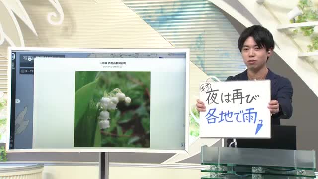 【エンドトーク】「雨がしたたるスズラン」　きょうの1枚＆28日の天気のポイント　山形 画像
