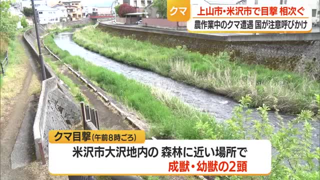 【クマ出没】上山の市街地・米沢の山間地で目撃相次ぐ　鈴木農水大臣が春の農作業時の注意呼びかけ　山形 画像