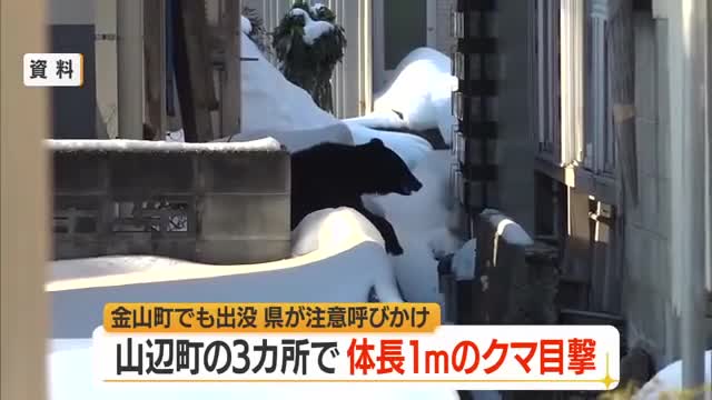 【クマ出没】山辺町の3カ所で体長1メートルのクマ目撃・同一個体か　金山町でも成獣1頭目撃　山形 画像