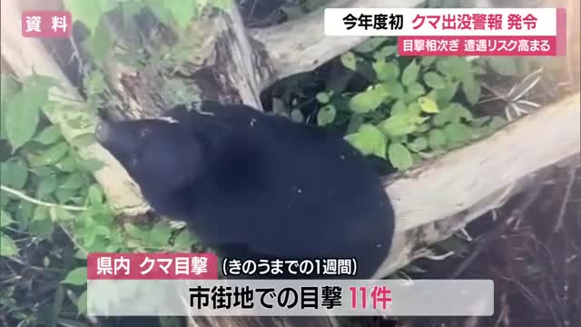 【クマ出没】2026年度初「クマ出没警報」発令　1週間で目撃10件超えクマ遭遇リスク高まる　山形 画像