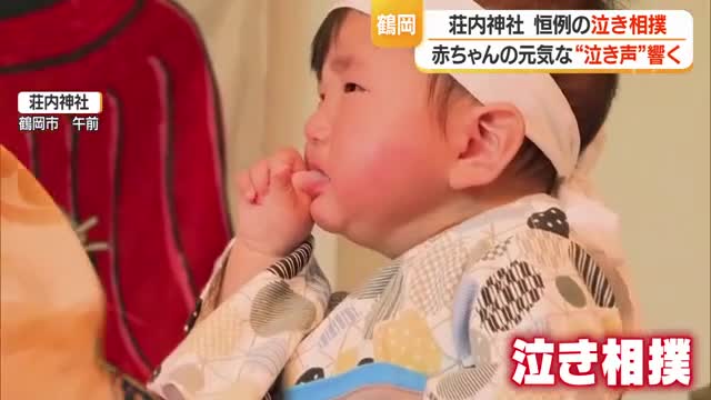 荘内神社で恒例「泣き相撲」　元気な泣き声と健やかな成長祈る家族の笑顔あふれる　山形・鶴岡市 画像