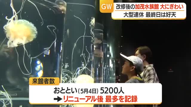 「水槽が大きく圧巻」リニューアルした加茂水族館にぎわう　連休最後のひと時クラゲと楽しむ　山形・鶴岡市 画像