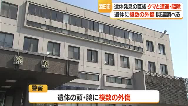酒田市の遭難現場の遺体に外傷…クマか？付近でクマ駆除　【山形】 画像