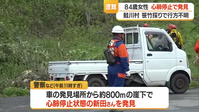 鮭川村・山に笹竹採りに入った84歳女性が心肺停止の状態で発見【山形】 画像
