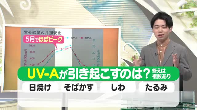 【天気／山形】天気ふりかえり＆紫外線UV-Aが影響するのは？　中村友祐気象予報士の天気予報(1) 画像
