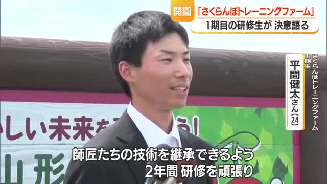 サクランボ農家を育成する農場開園　生産技術・機械操作・農業経営など最大5年まで無料で研修　山形 画像