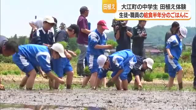 給食で食べるコメを生徒たち自身が田植え・200人の半年分　コメへの感謝の気持ち育む　山形・大江町 画像