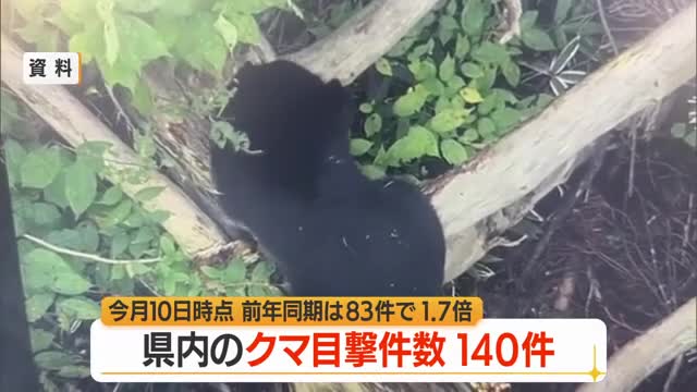 県内のクマ目撃140件（前年比+57件・1.7倍）うち59件庄内　山菜採りで襲われたケース2件　山形 画像
