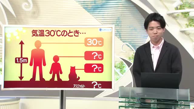 【天気／山形】天気ふりかえり＆気温30℃子ども・ペットの体感は？　中村友祐気象予報士の天気予報(1) 画像