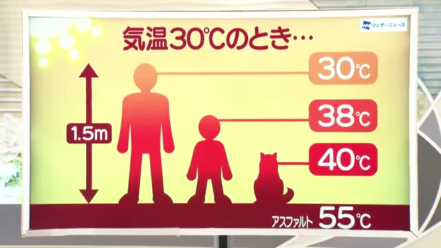 【天気／山形】子ども38℃・ペット40℃＆20日の詳しい天気　中村友祐気象予報士の天気予報(2) 画像