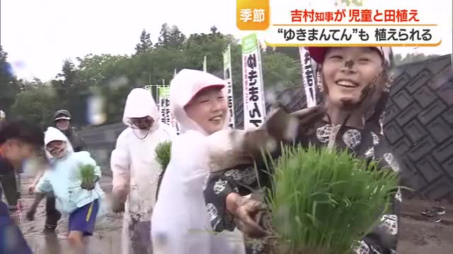 毎年恒例の