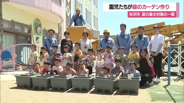 園児と一緒に緑のカーテン作り　ゴーヤ・アサガオのツルで日差し遮り室温下げる　山形・米沢市 画像
