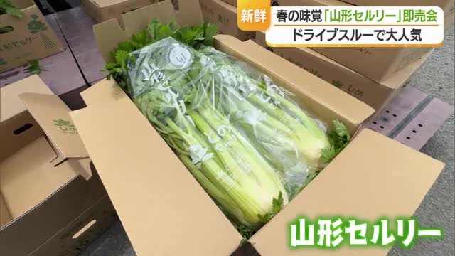 「山形セルリー」ドライブスルー販売会　山形・山形市 画像