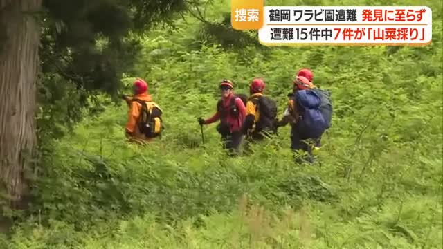 鶴岡市の観光ワラビ園で70代男性が遭難...捜索続くも発見できず　山形 画像