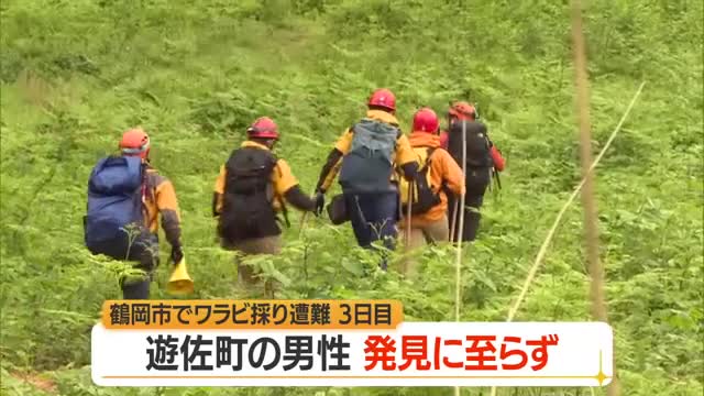 観光ワラビ園で遭難の70代男性...3日目も発見に至らず・携帯所持してなく連絡とれない状態　山形・鶴岡市 画像