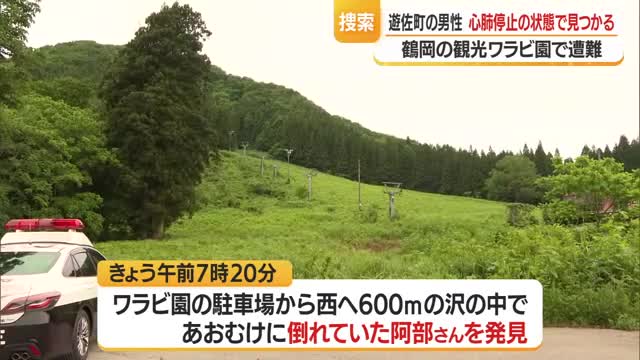 観光ワラビ園で行方不明の男性　心肺停止の状態で発見　山形・鶴岡市 画像