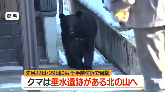 【クマ出没】山寺・千手院踏切近くの路上で目撃・体長80センチ～1メートル　千手院付近でも目撃 画像