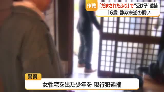 「だまされたふり作戦」で
