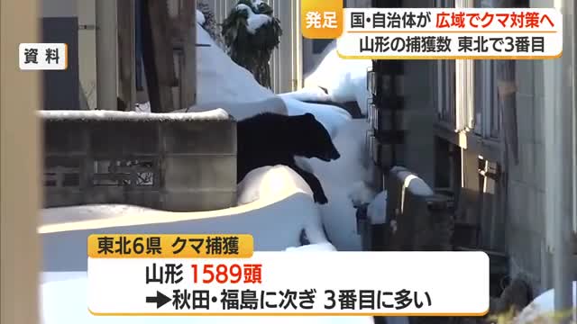 「人とクマ住み分け」「捕獲含めた個体管理」など国・県またぎ広域でクマ対策目指す　山形 画像