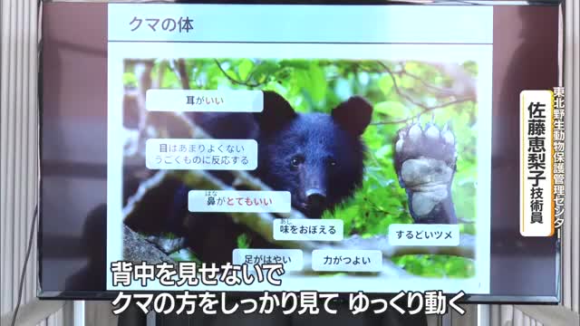 びっくりさせない・背中を見せない・ゆっくり動く　クマから身を守る行動を日ごろから理解しよう　山形 画像