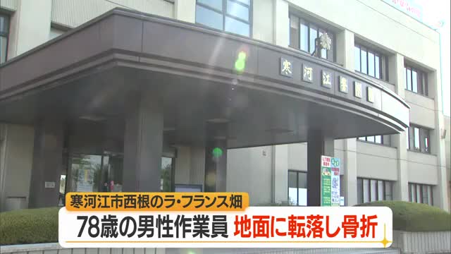 ラ・フランスの摘果作業中に78歳男性が1.8メートル下に転落・脚立ごと倒れ左太もも骨折　山形 画像