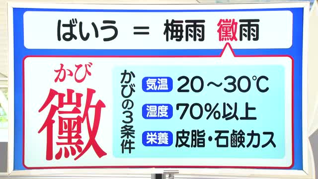 【天気／山形】黴雨（ばいう）の黴はカビ＆9日の詳しい天気　中村友祐気象予報士の天気予報(2) 画像