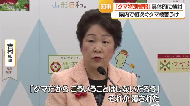 「クマ出没特別警報」の具体的検討始める...過去最悪のペースで増えるクマ目撃・死者出たこと受け　山形 画像