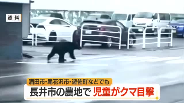 【クマ出没】酒田市の畑で成獣・長井市の小学生が通学中に目撃　尾花沢市・遊佐町・金山町でも目撃　山形 画像