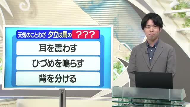 【天気／山形】天気ふりかえり＆ことわざ「夕立は馬の〇〇〇」　中村友祐気象予報士の天気予報(1) 画像