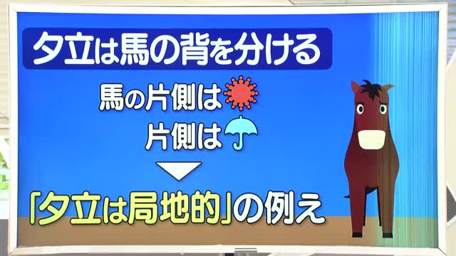 【天気／山形】夕立は馬の背を分ける＆12日の詳しい天気　中村友祐気象予報士の天気予報(2) 画像